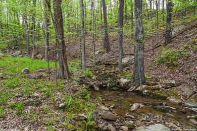 41 Turkey Run Rd, Heber Springs, AR 72543 - photo 2