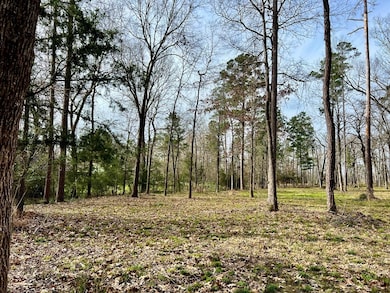 3.48 Roberts Ln, Diboll, TX 75941 - photo 3