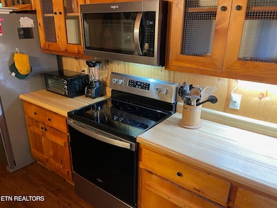 3117 Bear Mountain Ln, Pigeon Forge, TN 37876 - photo 7