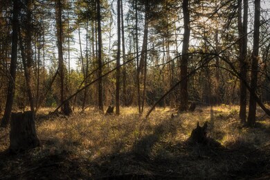 2019_04_30 Whitefish Hills-1-4