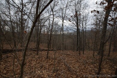 65311 Chaffin Ridge Rd, Proctor, OK 74457 - photo 5