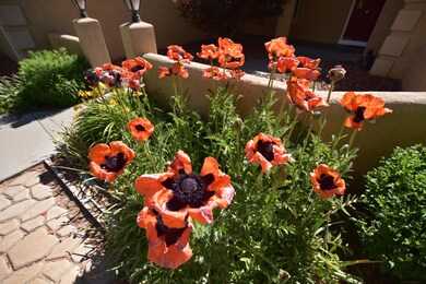 4705 Samantha Ln, Farmington, NM 87402 - photo 4