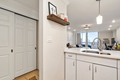 Winchester House Condominiums unit 806, Brookline, MA 02446 - photo 6