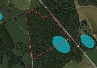 30 Acres N Carolina 20, Lumber Bridge, NC 28537 - photo 2