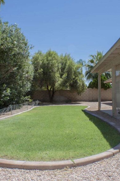 Backyard 3