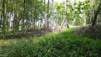 TBD Bryden Rd, Clay, WV 26062 - photo 5