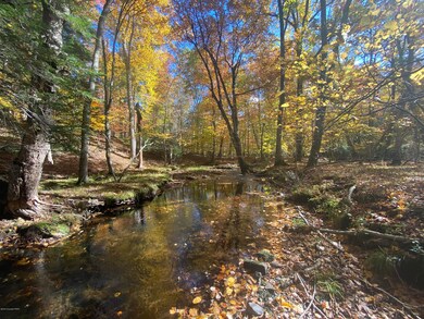 0 Mohican Rd unit PM-77144, Canadensis, PA 18325 - photo 4