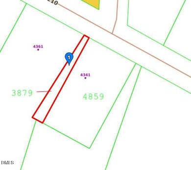 4341 N Carolina 210, Smithfield, NC 27577 - photo 4