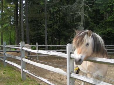 946 Stow Rd, Stow, ME 04037 - photo 6