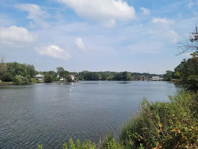 See the swans
