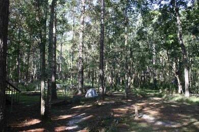 38 Wythe Ct, Crawfordville, FL 32327 - photo 3