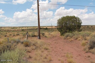 9170 Pueblo Ln, Snowflake, AZ 85937 - photo 6