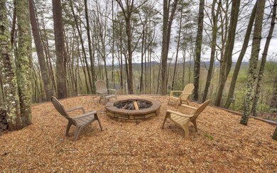 1474 My Mountain Rd, Morganton, GA 30560 - photo 3