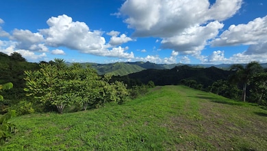 Bo. Río Hondo Carr 156 Km 2 5 Hm 29 4 Sector La Junc, Comerío, PR 00782 - photo 7