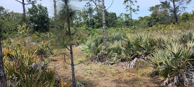 000 None, Grant Valkaria, FL 32950 - photo 4