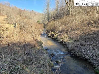 0 Roundabout Rd unit 23357348, Creston, NC 28615 - photo 7