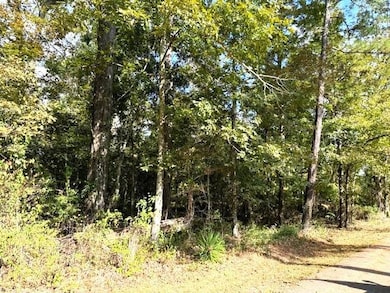 551 Colbert St, Mandeville, LA 70448 - photo 2