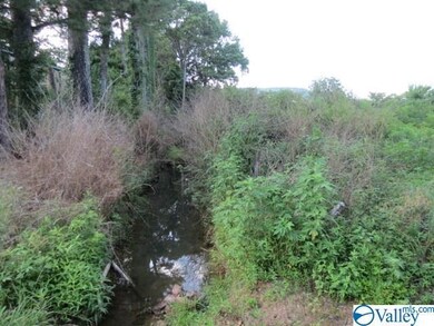 0 Cave Spring Rd unit 1147476, Owens Cross Roads, AL 35763 - photo 7