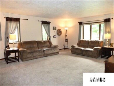 520 Southgate St, Lincoln, IL 62656 - photo 5