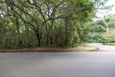 2128 Royal Pine Dr, Seabrook Island, SC 29455 - photo 3