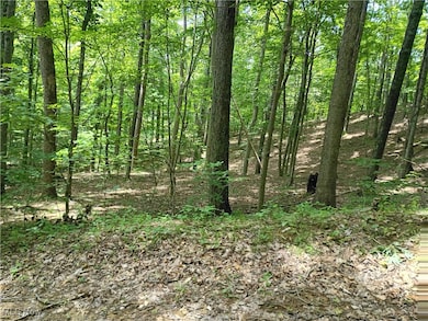 0 R 9 unit 5139092, Arnoldsburg, WV 25234 - photo 4