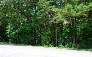 Additional View