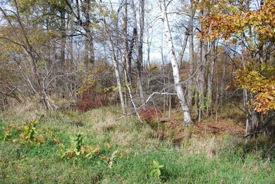 3125 W 1000 N, Potawatami Park, IN 46360 - photo 7