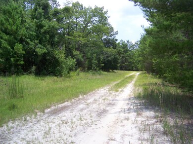 road in front of property looking south