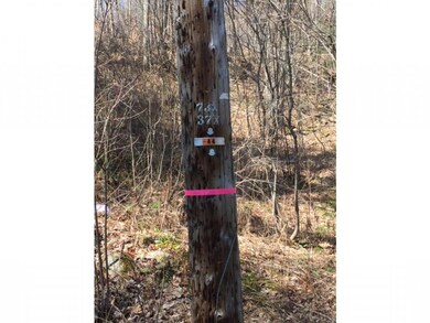 0 Upper Podunk Rd unit 4474759, Wardsboro, VT 05360 - photo 5