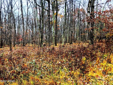 577 Grasshopper Way, Lackawaxen Township, PA 18428 - photo 2