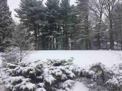 0 Lot 3a Mohegan Rd unit 201624836, Niskayuna, NY 12309 - photo 2