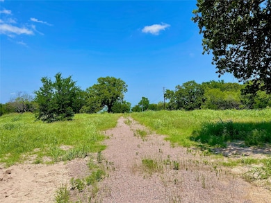 TBD 1 Fm 2859, Corsicana, TX 75109 - photo 5