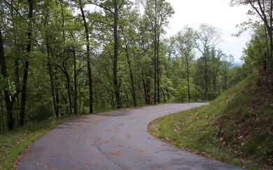 Additional View