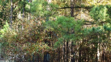 0 Highway 168 W unit 18037963, Paragould, AR 72450 - photo 3