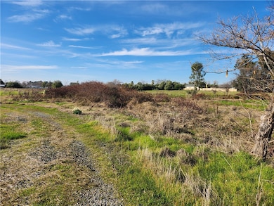 2131 4th St, Oroville, CA 95965 - photo 5