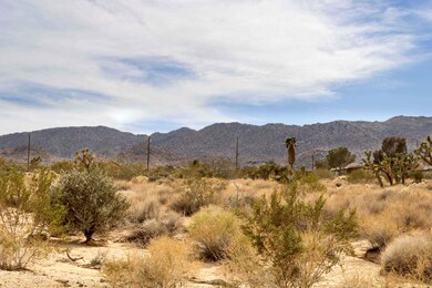 IMG_2278