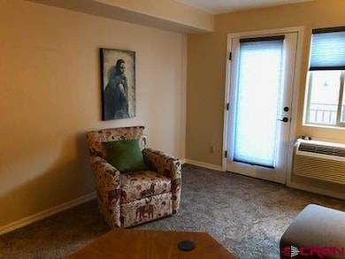 1700 County Road 203 unit B-305, Durango, CO 81301 - photo 6