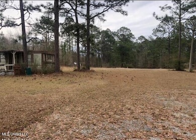 15654 Walter Smith Rd, Gulfport, MS 39503 - photo 5