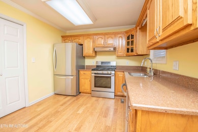 4713 Shell Ln, Knoxville, TN 37918 - photo 4