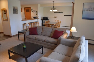 5 Northbrook Village Rd unit E-15, Dover, VT 05356 - photo 5