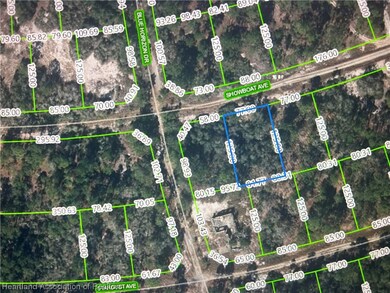 373 Showboat Ave, Lake Placid, FL 33852 - photo 2