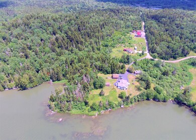 Drone View