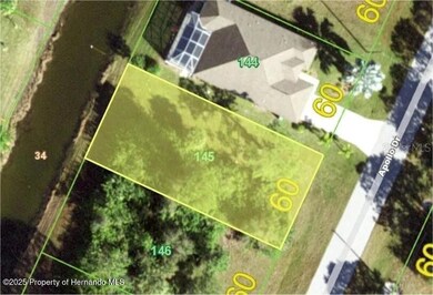 161 apollo-Picture #5