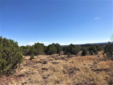 48275 N Steve Ln, Ash Fork, AZ 86320 - photo 5
