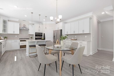 2046 Gallinule Dr, Indian Trail, NC 28079 - photo 6