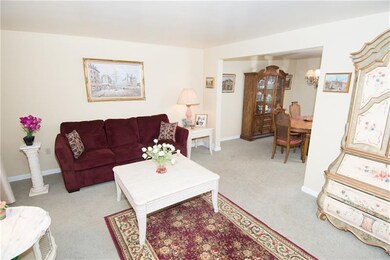 507 Hutchinson Avenue Living Room