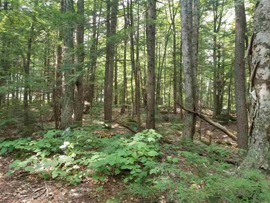 34a Forest Pond Rd, New Hampton, NH 03256 - photo 4