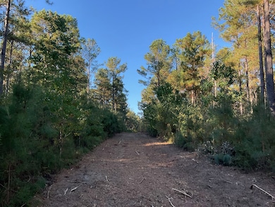 3114 Chapel Hill Rd, Rutledge, AL 36071 - photo 6