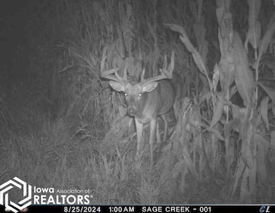 0 Highway 5, Centerville, IA 52544 - photo 7