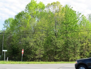 003 Wilson Farm Rd, Statesville, NC 28625 - photo 4